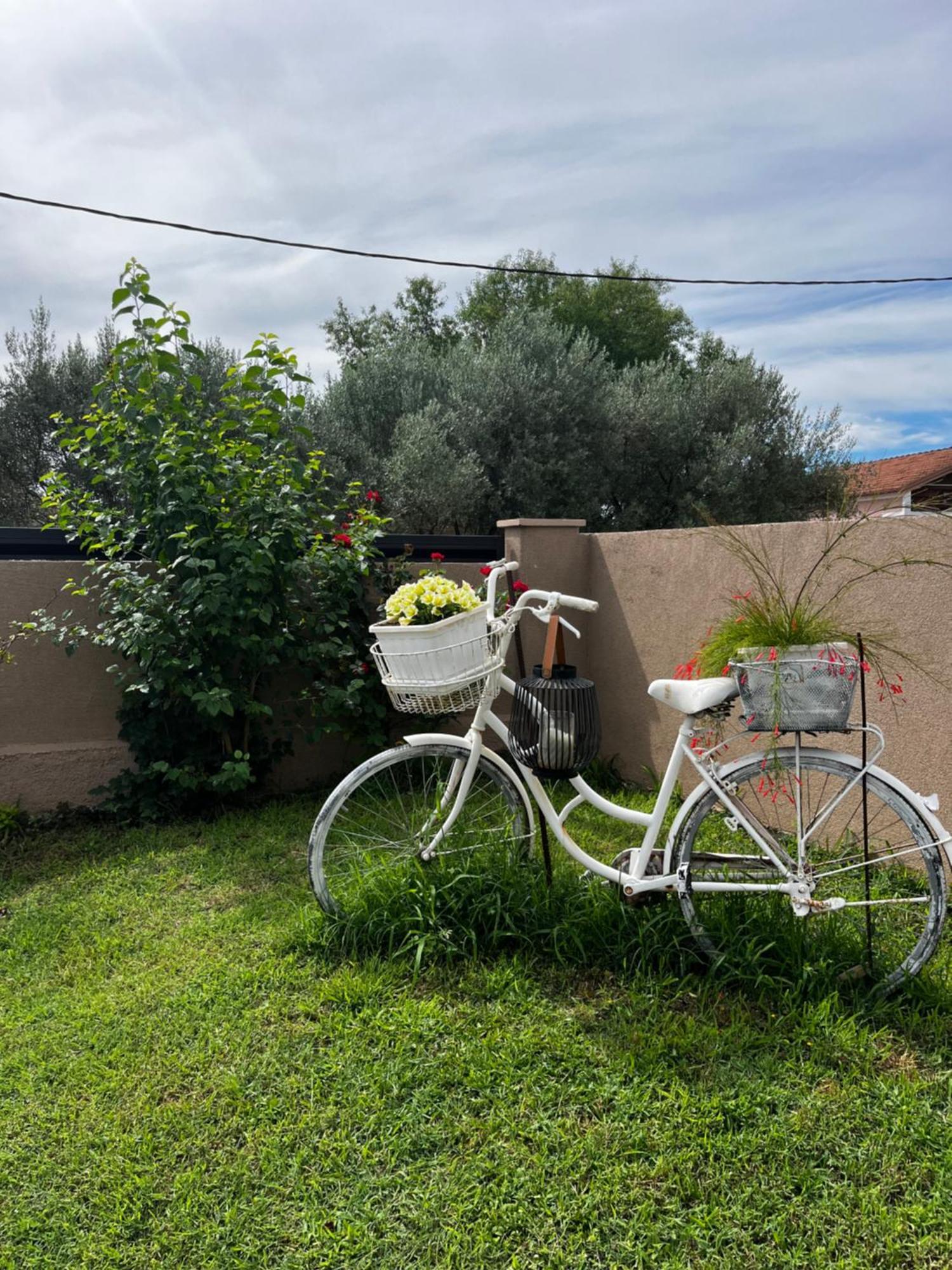 Apartman Marta Zadar Exterior foto